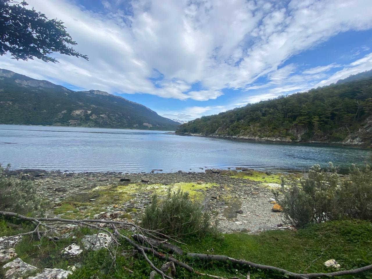 Paisaje natural de agua, bosque y montañas